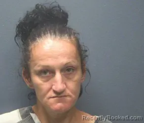 Mugshot of April Kay Franklin booked in Sevier County, Tennessee on August 22, 2026