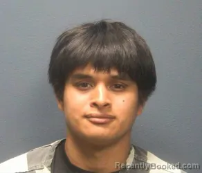 Mugshot of Dominic Dean Armenta booked in Sevier County, Tennessee on July 28, 2026
