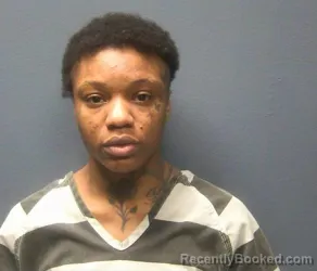 Mugshot of KEYSHUNDRA MYCHELL VINSON