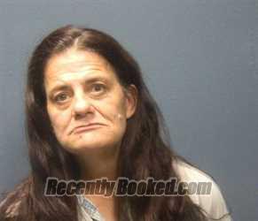 Mugshot of HEATHER ESTELLE TAYLOR booked in Sevier County, Tennessee on July 3, 2026