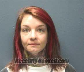 Booking photo from Sevier County, Tennessee