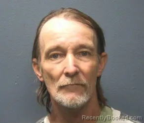 Booking photo from Sevier County, Tennessee