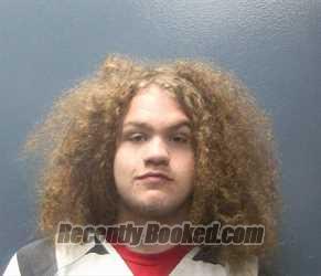 Mugshot of ALDEN LEE MILLER booked in Sevier County, Tennessee on March 26, 2026