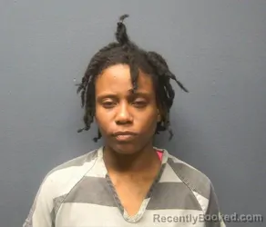 Booking photo from Sevier County, Tennessee