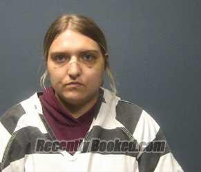 Booking photo from Sevier County, Tennessee