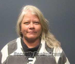 Booking photo from Sevier County, Tennessee