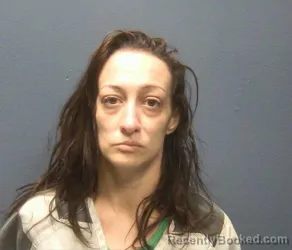 Mugshot of EMILY LOUISE HUNT booked in Sevier County, Tennessee on April 30, 2026