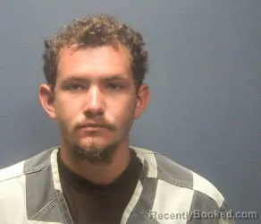 Mugshot of Landyn Bradley Watson booked in Sevier County, Tennessee on August 19, 2026