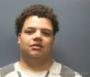 Mugshot of MICHAEI JADON REAGAN booked in Sevier County, Tennessee on April 24, 2026