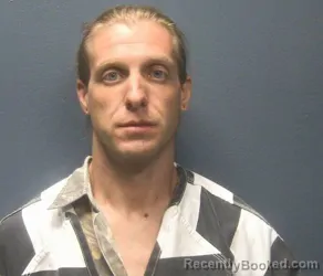 Mugshot of TRAVIS C BIBLE booked in Sevier County, Tennessee on May 8, 2026