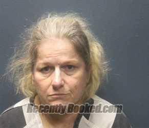 Mugshot of WENDY SUE HESS booked in Sevier County, Tennessee on June 18, 2026