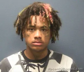 Mugshot of LEE WILLIAM HUDSON