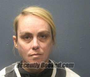 Booking photo from Sevier County, Tennessee