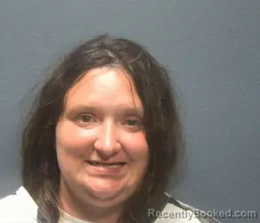 Mugshot of Elizabeth Anne Watson booked in Sevier County, Tennessee on August 2, 2026