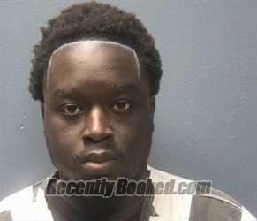 Booking photo from Sevier County, Tennessee