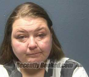 Booking photo from Sevier County, Tennessee