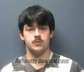 Booking photo from Sevier County, Tennessee