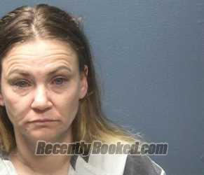 Booking photo from Sevier County, Tennessee