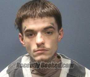 Booking photo from Sevier County, Tennessee