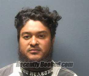 Booking photo from Sevier County, Tennessee