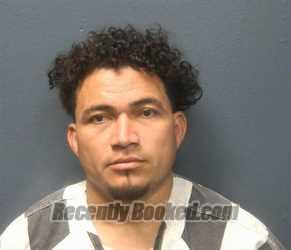 Booking photo from Sevier County, Tennessee