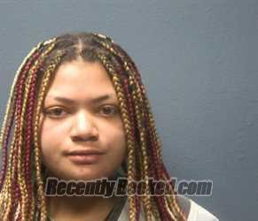 Booking photo from Sevier County, Tennessee