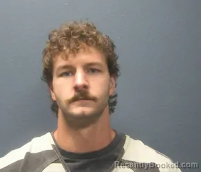 Mugshot of TRISTAN MARCUS PANNELL booked in Sevier County, Tennessee on May 11, 2026