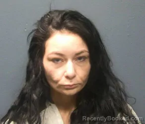 Booking photo from Sevier County, Tennessee