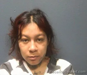 Booking photo from Sevier County, Tennessee