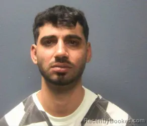 Booking photo from Sevier County, Tennessee