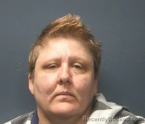 Mugshot of STEPHANIE MIDGE WILSON