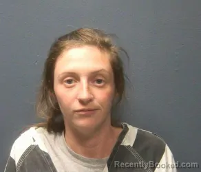 Booking photo from Sevier County, Tennessee