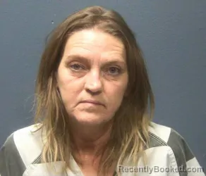 Mugshot of ROBIN MARSETT BISE