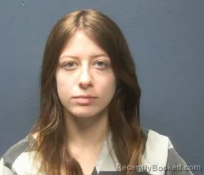 Booking photo from Sevier County, Tennessee