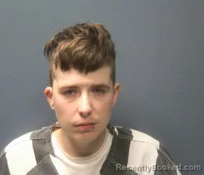 Booking photo from Sevier County, Tennessee