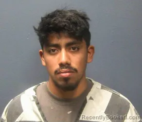 Mugshot of JOSE GERALDO-CARCAMO