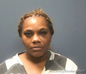 Booking photo from Sevier County, Tennessee