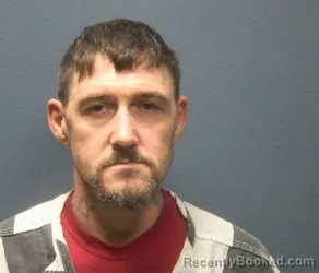 Mugshot of BUDDY BRUCE COLLINS booked in Sevier County, Tennessee on March 26, 2026