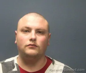 Mugshot of DOMINIC WILLIAM TYLER LEACH booked in Sevier County, Tennessee on March 26, 2026