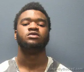 Mugshot of MIRAN LEWIS WATSON