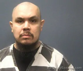 Booking photo from Sevier County, Tennessee