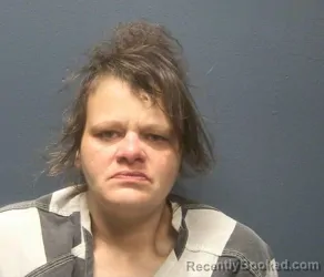 Mugshot of KELLY DIANA COLLINS booked in Sevier County, Tennessee on March 26, 2026