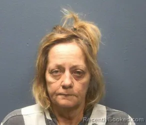 Mugshot of MELINDA KAY CHEUNG booked in Sevier County, Tennessee on March 26, 2026