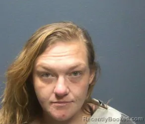 Mugshot of BRANDI LYNN KIMBROUGH booked in Sevier County, Tennessee on March 28, 2026