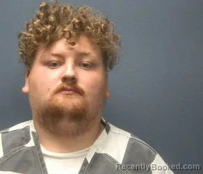 Mugshot of DONAVON I MCDANIEL booked in Sevier County, Tennessee on March 31, 2026