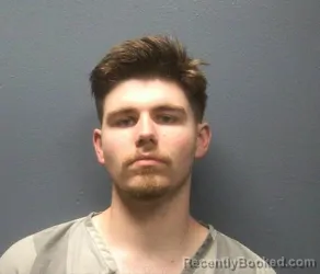 Mugshot of CHANDLER LEE ARNOLD booked in Sevier County, Tennessee on April 1, 2026