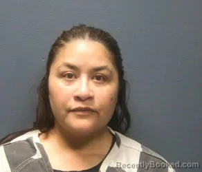 Mugshot of CELESTE LYDIA CASTILLO-KELLER booked in Sevier County, Tennessee on April 4, 2026