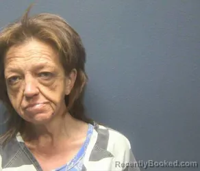 Mugshot of AMY SUZANNE SPENCER booked in Sevier County, Tennessee on August 5, 2026