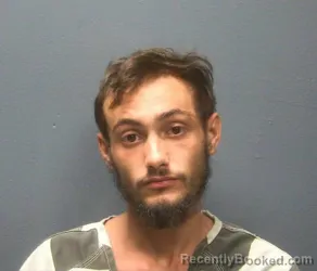 Mugshot of SHANDON MICKEY COLLINS booked in Sevier County, Tennessee on June 17, 2026