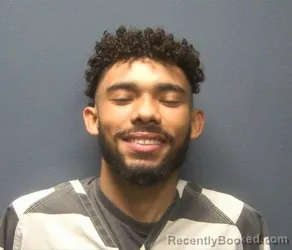 Mugshot of Camron Raudel Ryan